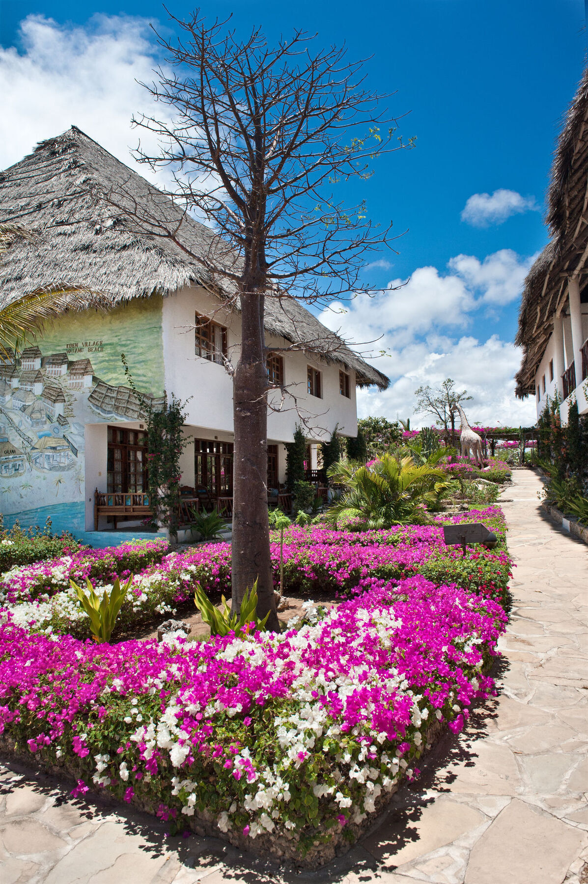 Jacaranda Beach Resort 와타무 외부 사진